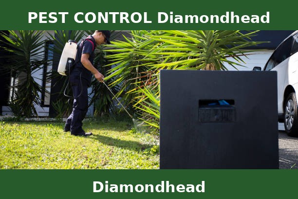 PEST CONTROL Diamondhead